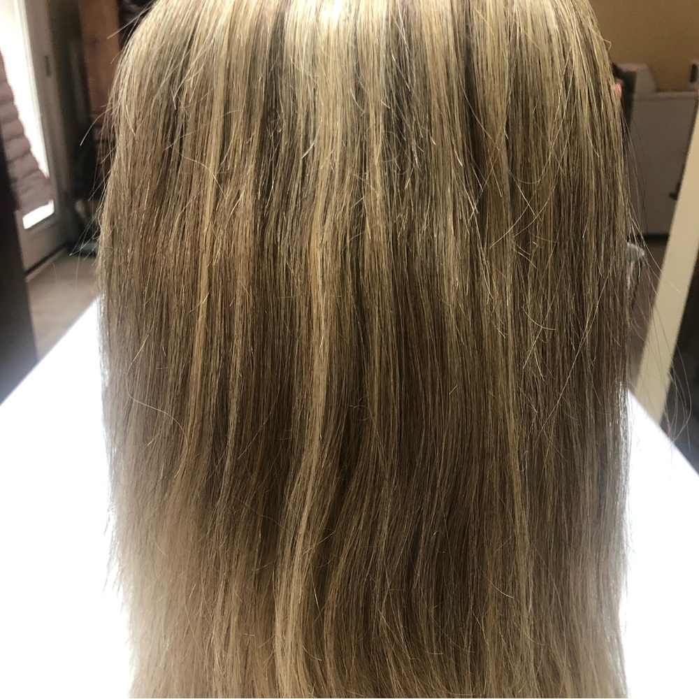 COPY - Jon renau hh wig